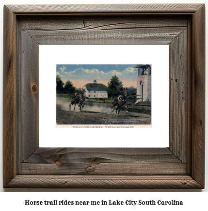 horse trail rides near me in Lake City, South Carolina